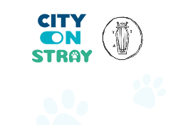 Ολοκλήρωση δράσης στείρωσης αδέσποτων γατών στο Δήμο Μυτι...