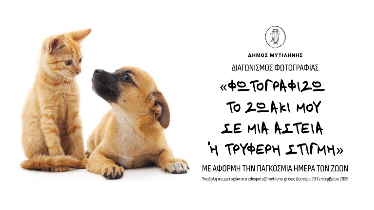 Διαγωνισμός Φωτογραφίας για την Παγκόσμια Ημέρα των Ζώων ...