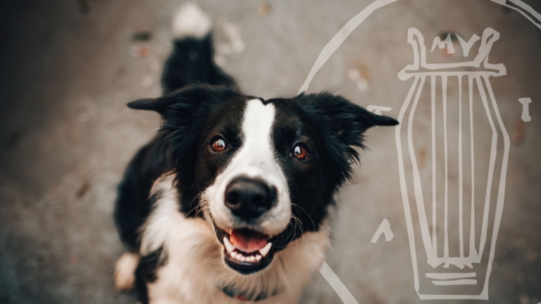 Ξεκινούν οι αυτεπάγγελτοι έλεγχοι τήρησης των κανόνων ευζ...