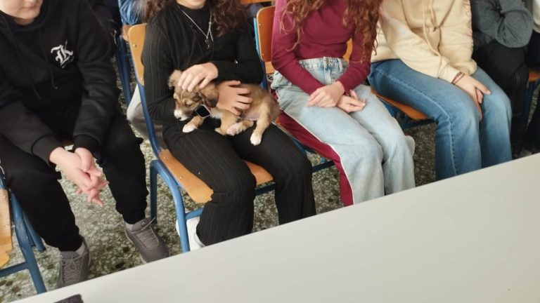 ΔΡΑΣΗ-ΕΝΗΜΕΡΩΣΗΣ-ΖΩΑ-ΣΥΝΤΡΟΦΙΑΣ-2-1500x844